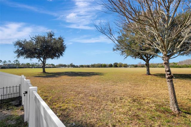 3407 CARDINAL FEATHER DRIVE, Land O Lakes, FL 34638