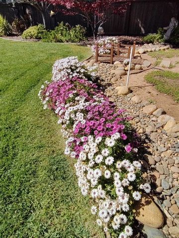 2805 Granite Park Ln, Elk Grove, CA 95758