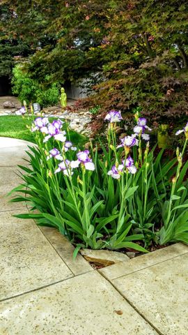 2805 Granite Park Ln, Elk Grove, CA 95758