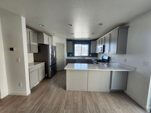 1006 W PEREGRINE DR, Stansbury Park, UT 84074