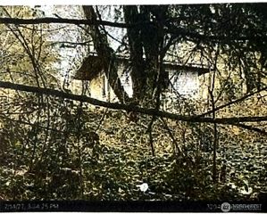 1011 SR-532, Stanwood, WA 98223