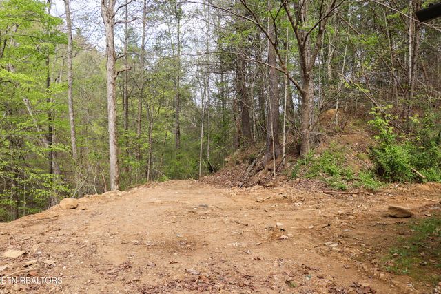 3634 Wilhite Rd, Sevierville, TN 37876