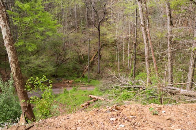 3634 Wilhite Rd, Sevierville, TN 37876