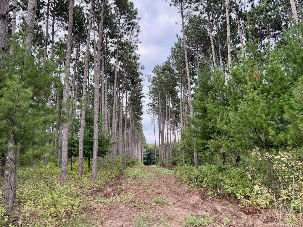 (Lot 1) TBD Tulip Street NW, Stanchfield, MN 55080 — exterior