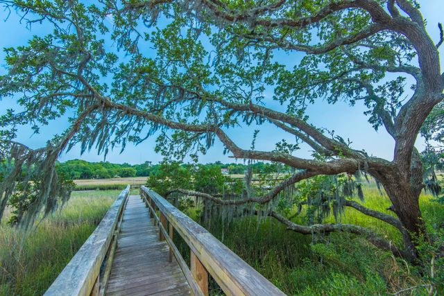 1054 Anna Knapp Boulevard 4g, Mount Pleasant, SC 29464