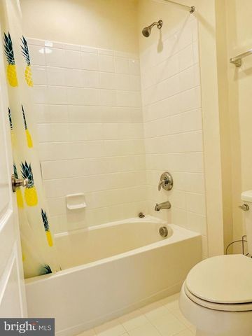 24823 BARRINGTON GROVE CT, Aldie, VA 20105