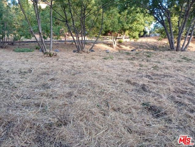 3747 Richardson, Los Angeles, CA 90065