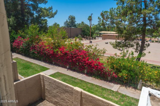 4228 N 81ST Street, Scottsdale, AZ 85251