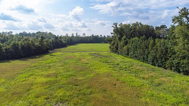 TBD 37 Acres Highway 9 W, Nichols, SC 29581