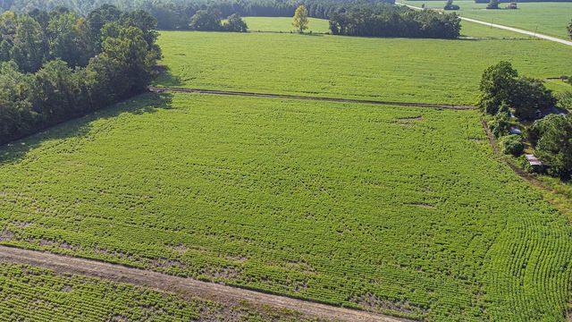TBD 37 Acres Highway 9 W, Nichols, SC 29581