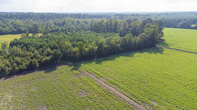TBD 37 Acres Highway 9 W, Nichols, SC 29581