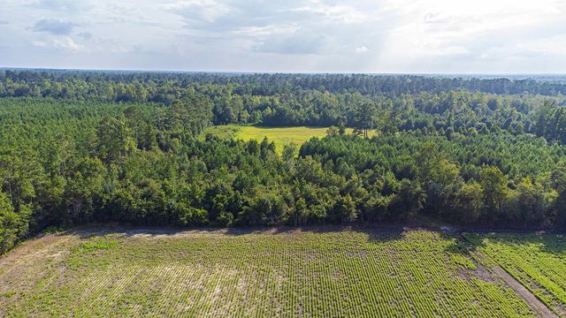 TBD 37 Acres Highway 9 W, Nichols, SC 29581