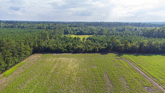 TBD 37 Acres Highway 9 W, Nichols, SC 29581