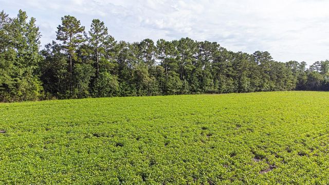 TBD 37 Acres Highway 9 W, Nichols, SC 29581