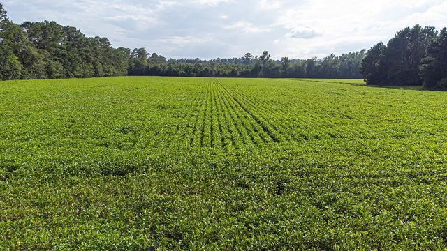 TBD 37 Acres Highway 9 W, Nichols, SC 29581