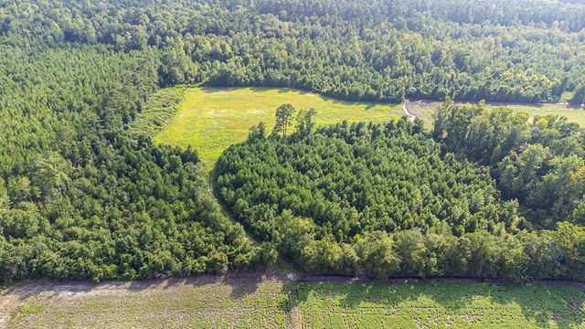 TBD 37 Acres Highway 9 W, Nichols, SC 29581