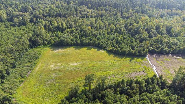 TBD 37 Acres Highway 9 W, Nichols, SC 29581