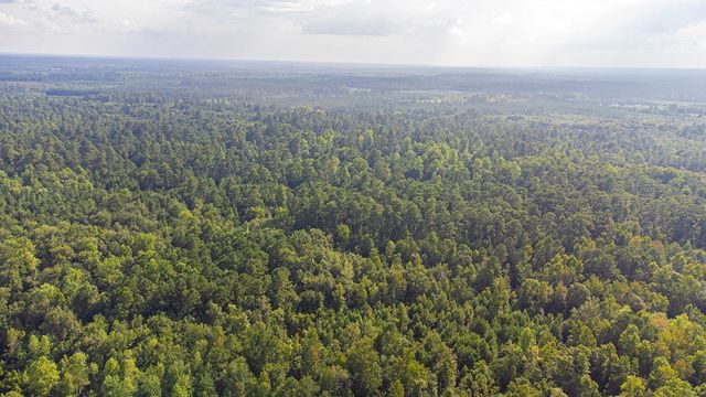 TBD 37 Acres Highway 9 W, Nichols, SC 29581