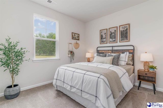 221 Bluff View Lane, Florence, SC 29505