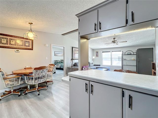 13426 PALM DRIVE, Astatula, FL 34705