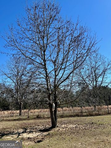 201 Claude Anderson Road, Claxton, GA 30417