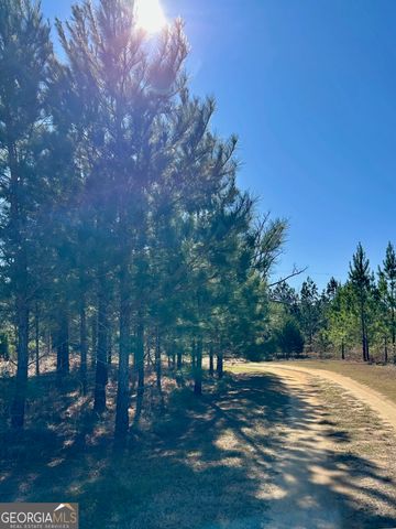 201 Claude Anderson Road, Claxton, GA 30417