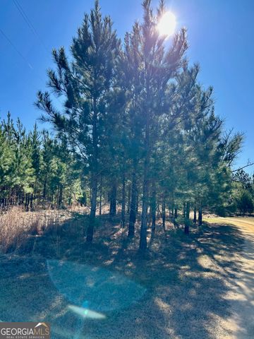 201 Claude Anderson Road, Claxton, GA 30417