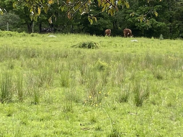 845 Town Farm Rd, Warren, MA 01083