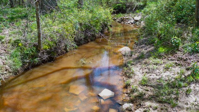 00 FM 315, Larue, TX 75770