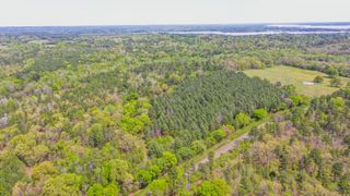 00 FM 315, Larue, TX 75770