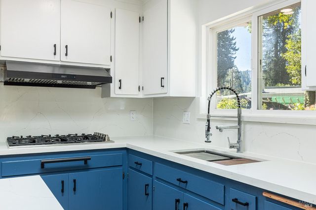 20095 River Blvd, Monte Rio, CA 95462