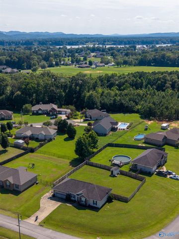 1917 Blake Drive, Southside, AL 35907