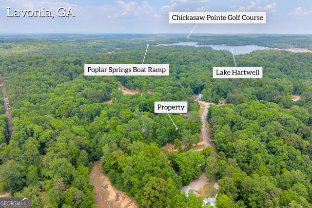 440 Knottywood Drive, Lavonia, GA 30553