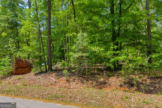 440 Knottywood Drive, Lavonia, GA 30553