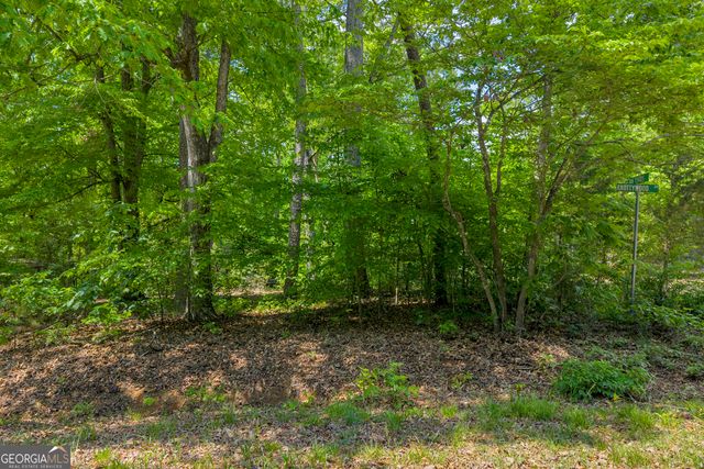 440 Knottywood Drive, Lavonia, GA 30553