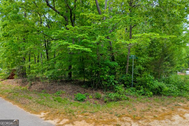 440 Knottywood Drive, Lavonia, GA 30553