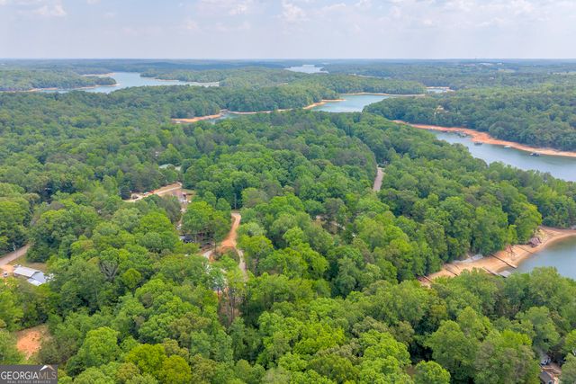 440 Knottywood Drive, Lavonia, GA 30553