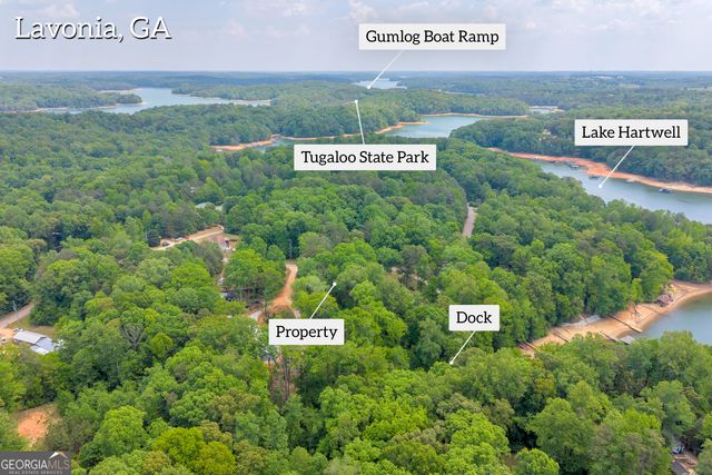 440 Knottywood Drive, Lavonia, GA 30553