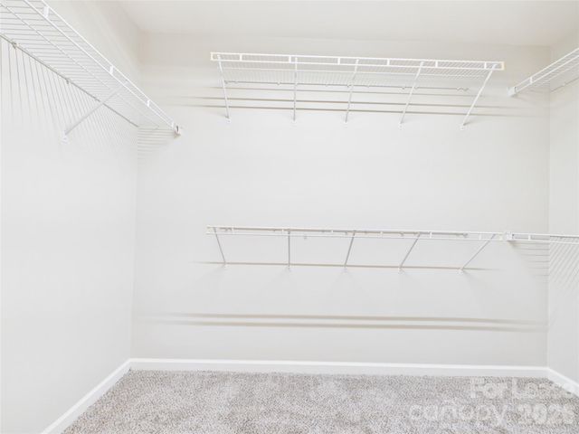 2204 Arbor Vista Drive, Charlotte, NC 28262