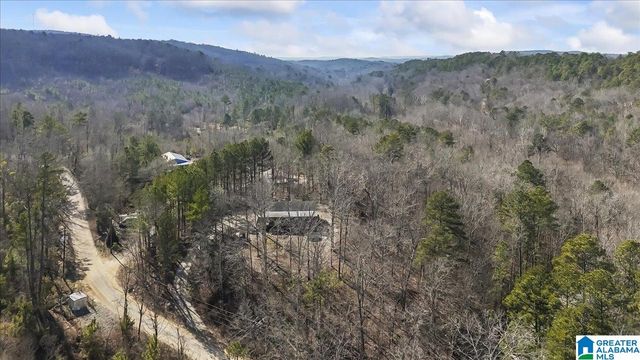 4101 GUINNS COVE ROAD, Hayden, AL 35079