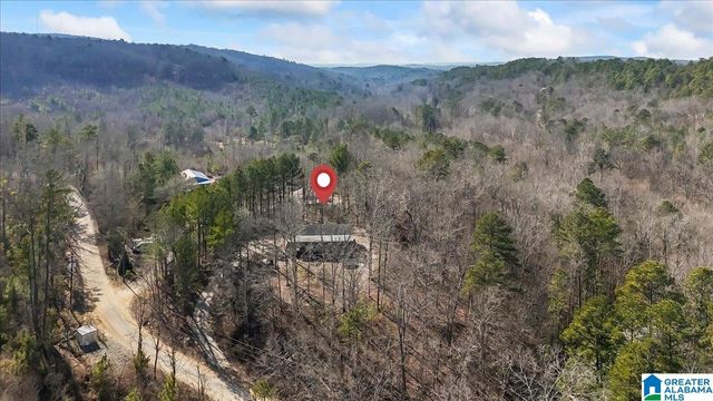 4101 GUINNS COVE ROAD, Hayden, AL 35079