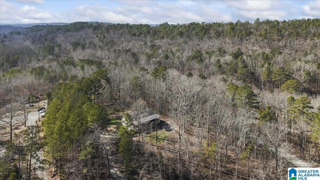 4101 GUINNS COVE ROAD, Hayden, AL 35079