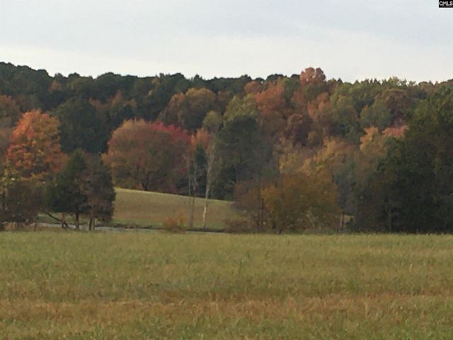 1009 Oakleaf Circle, Blythewood, SC 29016