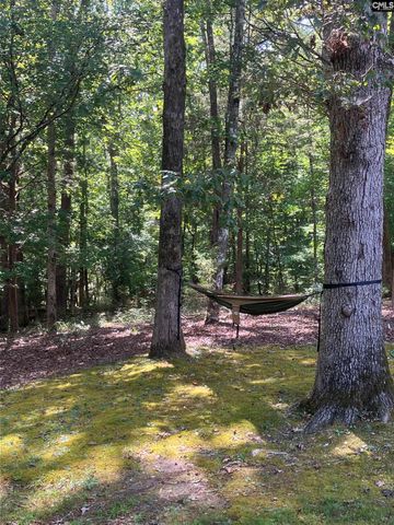 1009 Oakleaf Circle, Blythewood, SC 29016