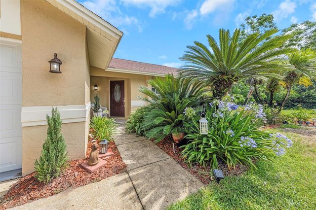 2437 HAWK AVENUE, Palm Harbor, FL 34683
