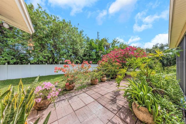 2437 HAWK AVENUE, Palm Harbor, FL 34683