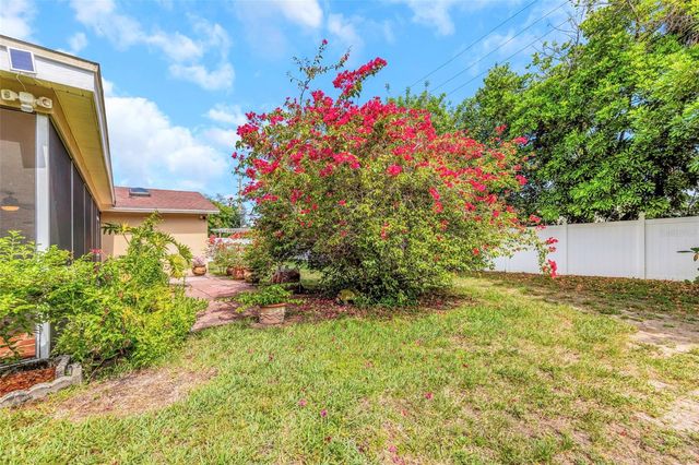 2437 HAWK AVENUE, Palm Harbor, FL 34683