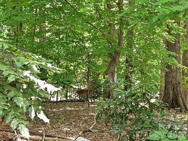 4737 Rounding Run Road, Charlotte, NC 28277