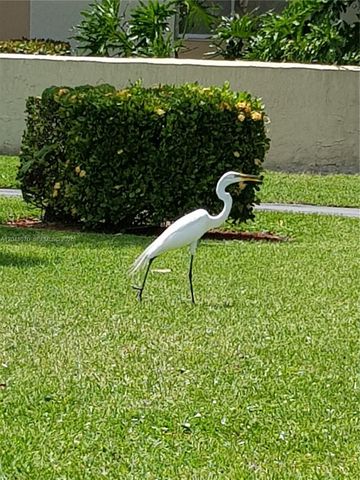 703 Gardens Dr 102, Pompano Beach, FL 33069