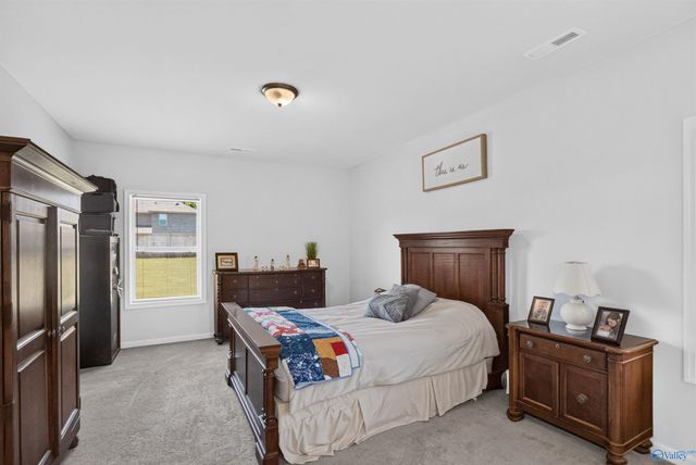 242 Paladin Str Paladin Street, New Market, AL 35761